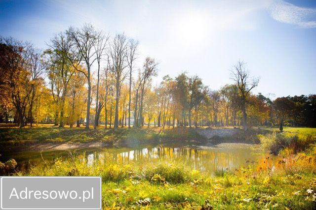 dworek Zborów. Zdjęcie 9