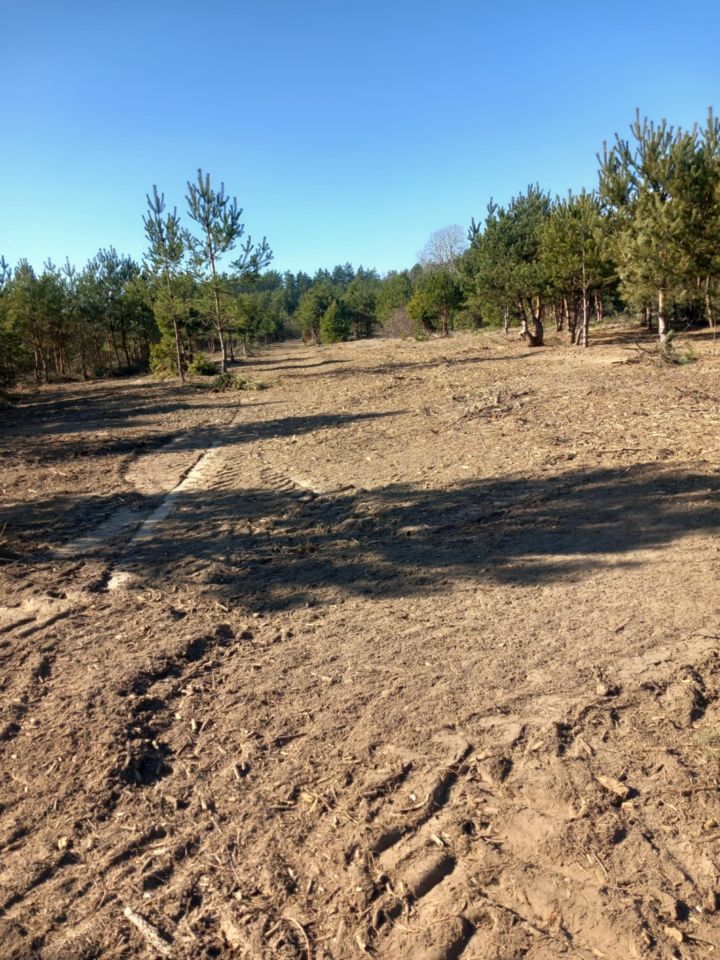 Działka rolno-budowlana Gucin. Zdjęcie 12