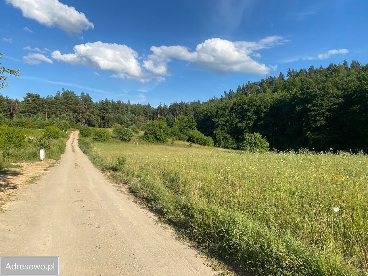 Działka rekreacyjna Stężyca. Zdjęcie 12