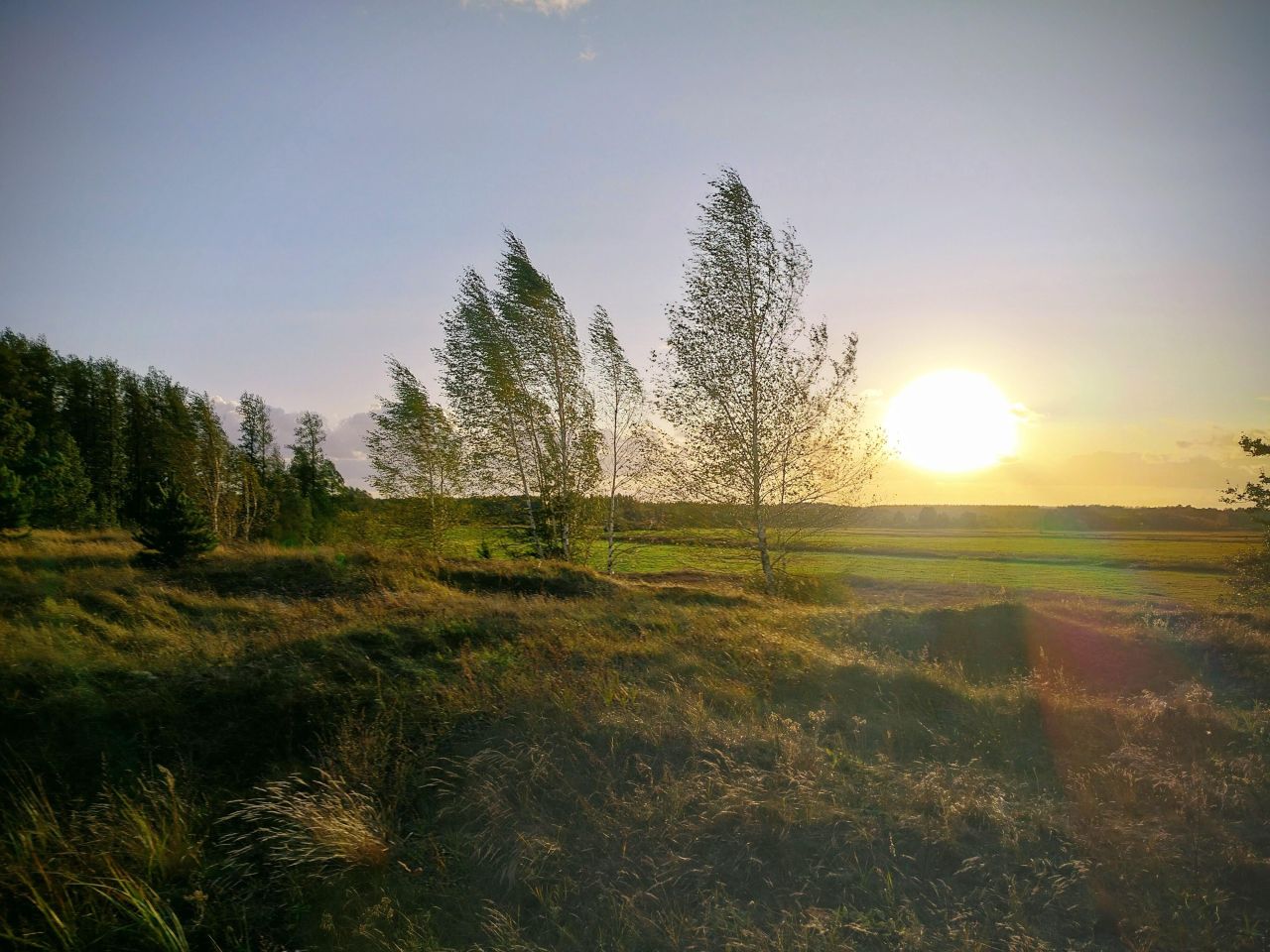 Działka siedliskowa Lewkowo Nowe. Zdjęcie 7