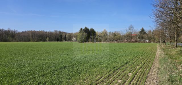 Działka budowlana Bartoszówka, ul. Strażacka. Zdjęcie 11