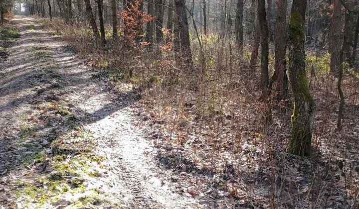 Działka rekreacyjna Widełka