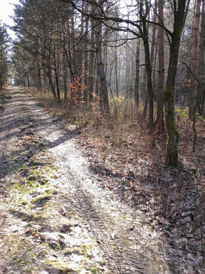 Działka rekreacyjna Widełka. Zdjęcie 1