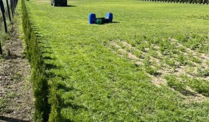 Działka budowlana Golub-Dobrzyń, ul. Brodnicka