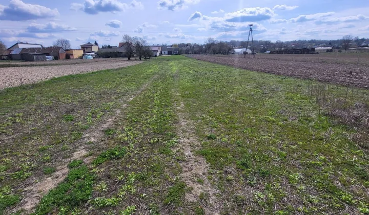 Działka rolno-budowlana Skowieszyn, ul. Puławska