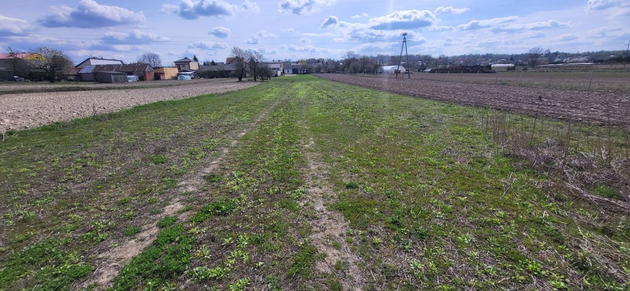 Działka rolno-budowlana Skowieszyn, ul. Puławska. Zdjęcie 1