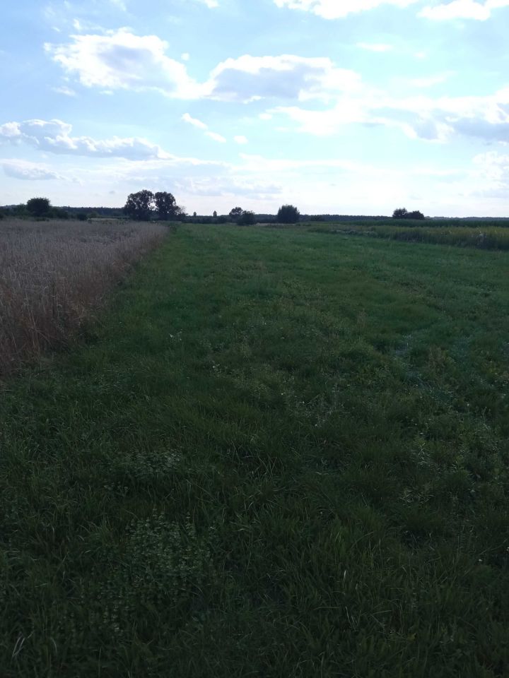 Działka rolna Koprzywnica. Zdjęcie 2