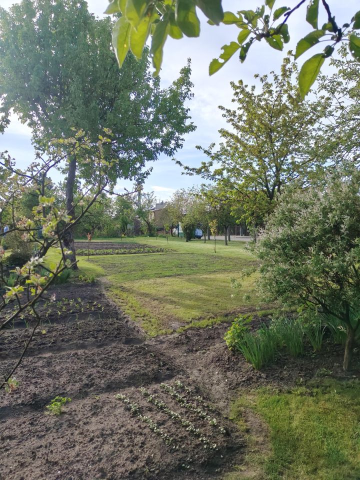 Działka rod Zawiercie, ul. Kresowa. Zdjęcie 6