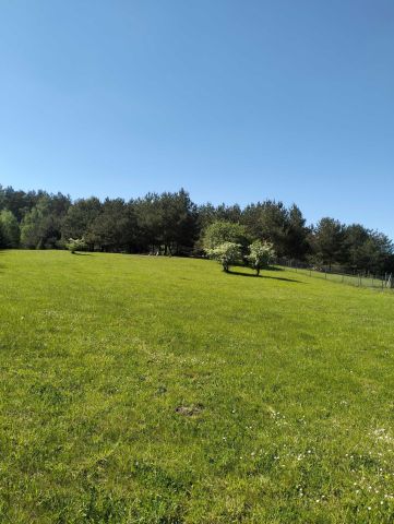 Działka rekreacyjna Rutki. Zdjęcie 1