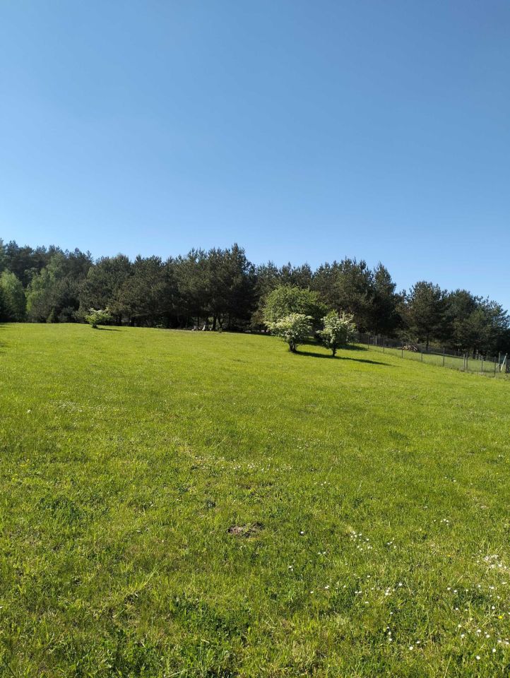 Działka rekreacyjna Rutki