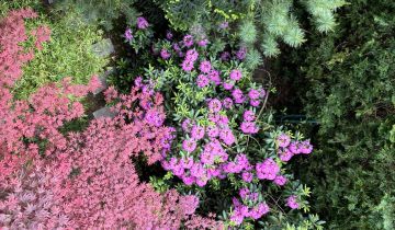 Hotel/pensjonat Karpacz, ul. Skalna