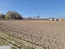 Działka rolno-budowlana Rawica Stara. Zdjęcie 4