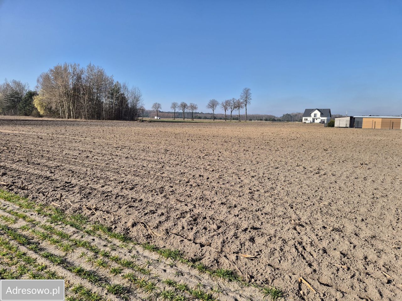 Działka rolno-budowlana Rawica Stara. Zdjęcie 5