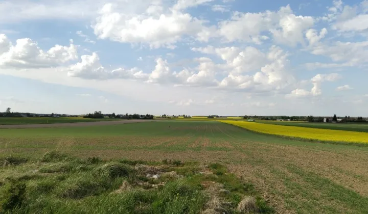 Działka rolna Janowice