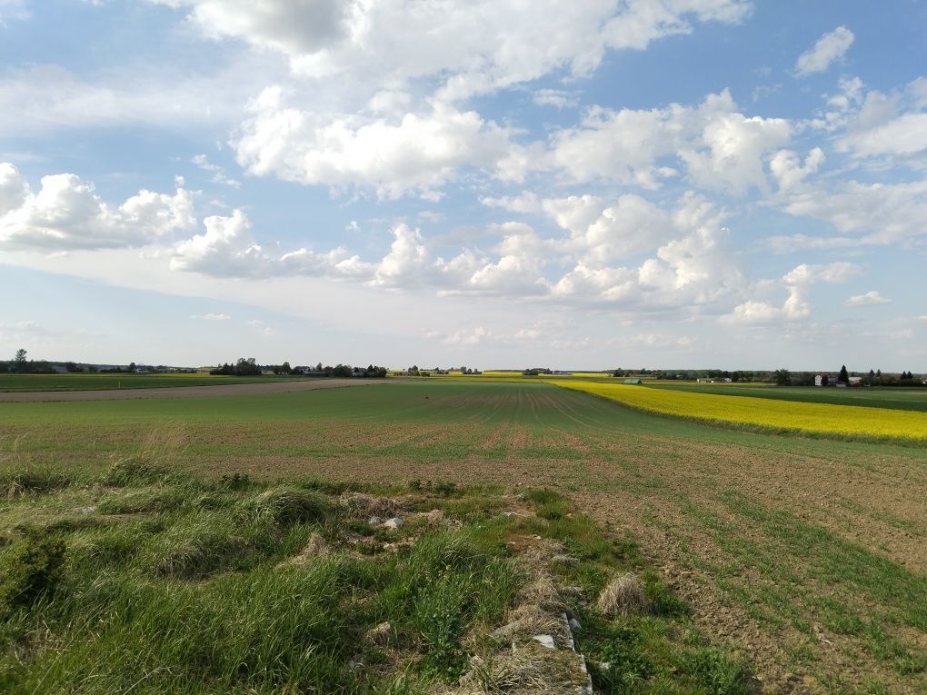Działka rolna Janowice. Zdjęcie 1