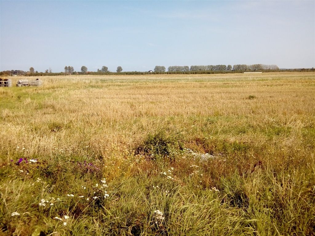 Działka budowlana Stęszew, ul. Wrocławska. Zdjęcie 7