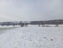 Działka rolno-budowlana Żalno, ul. Dworcowa. Zdjęcie 4