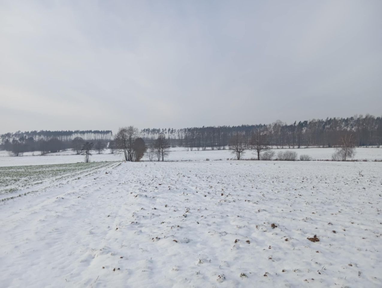 Działka rolno-budowlana Żalno, ul. Dworcowa. Zdjęcie 5