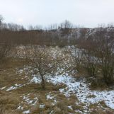 Działka inwestycyjna Kryniczno. Zdjęcie 4