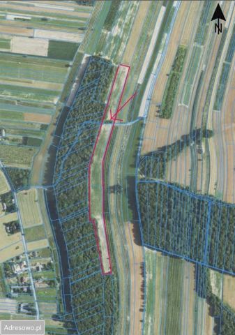 Działka rolna Skorczyce. Zdjęcie 1