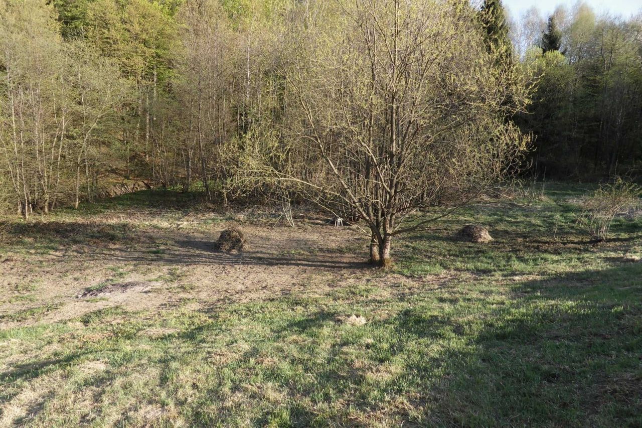 Działka rolno-budowlana Lecka. Zdjęcie 6