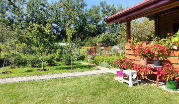 Działka rod Olecko, ul. Aleje Lipowe