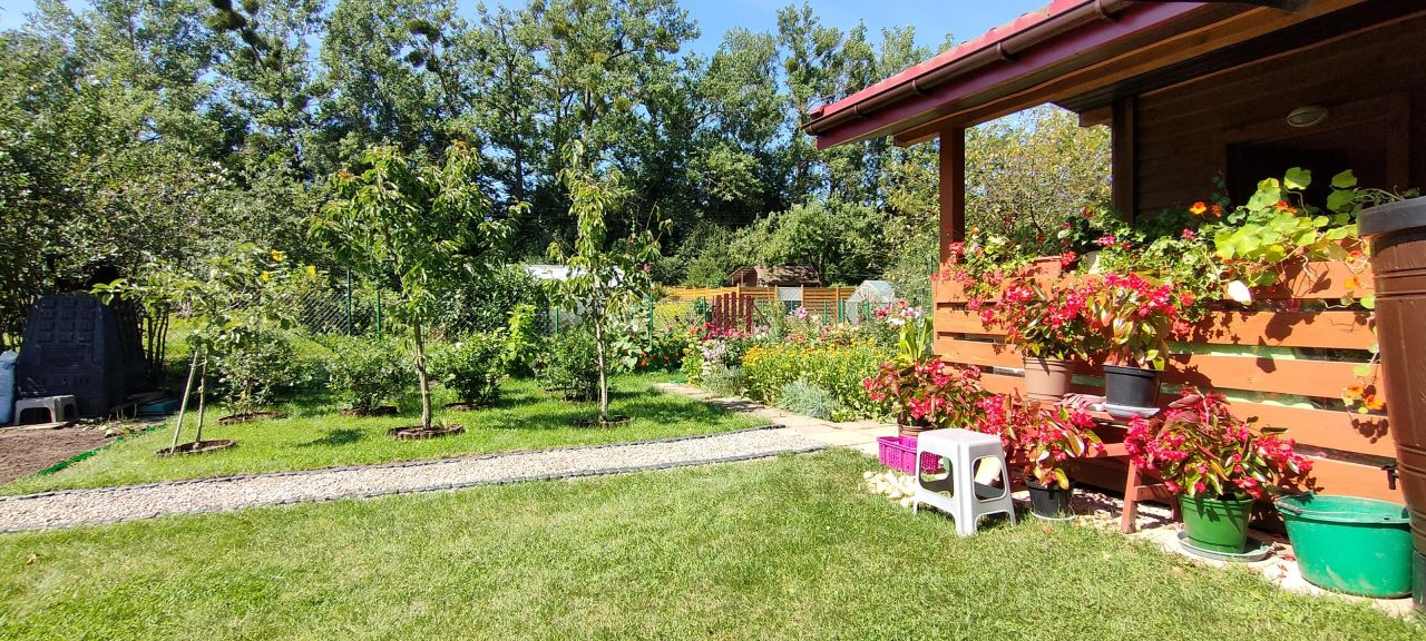 Działka rod Olecko, ul. Aleje Lipowe. Zdjęcie 2