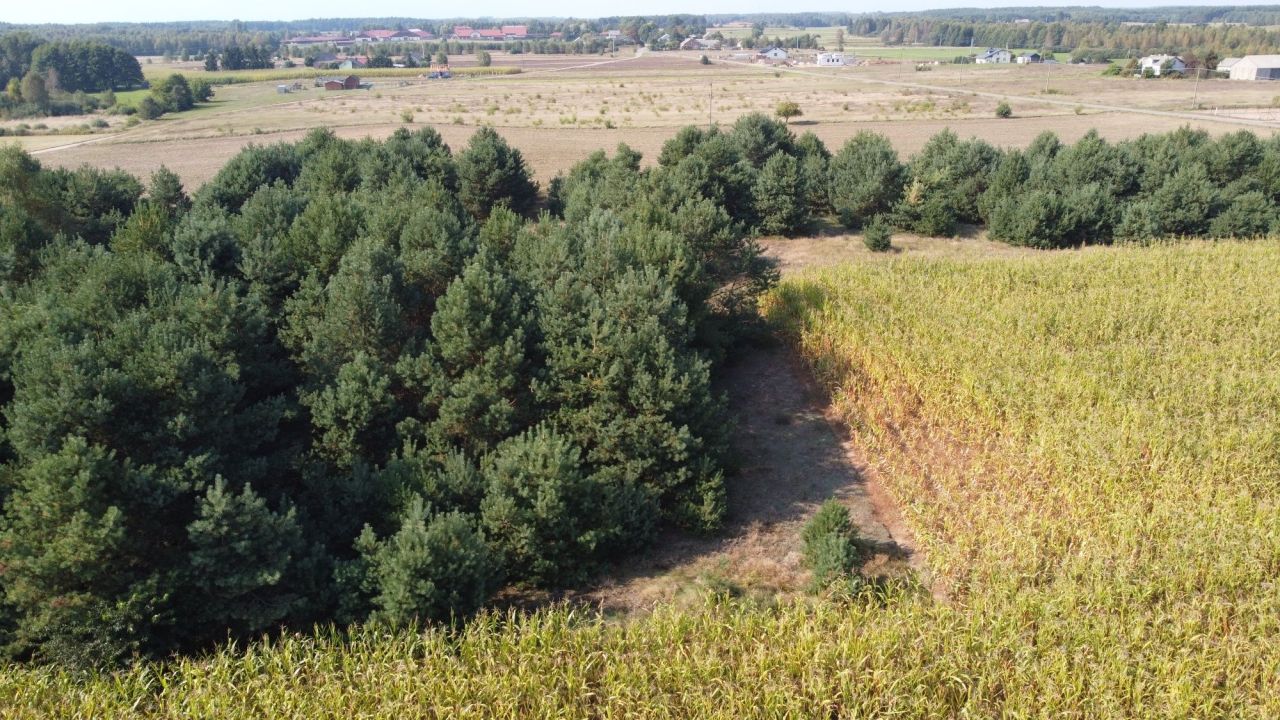 Działka rolno-budowlana Brzeszczki Duże. Zdjęcie 6