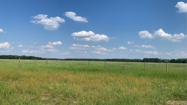 Działka rekreacyjna Soboklęszcz. Zdjęcie 1