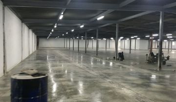 Hala/magazyn Zielona Góra Przylep