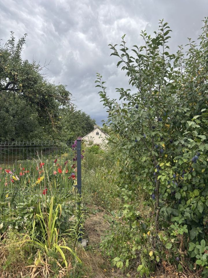 Działka budowlana Wola Łagowska. Zdjęcie 7