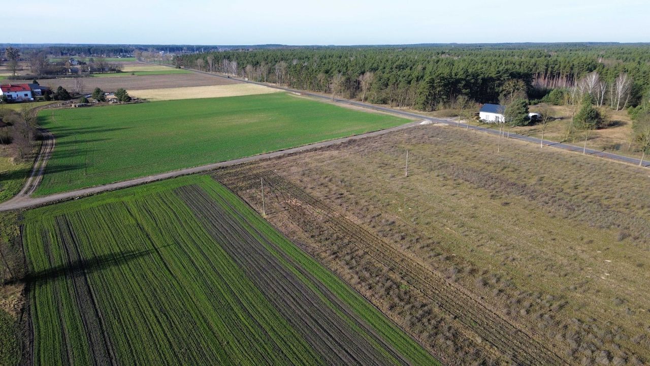 Działka budowlana Dąbrowa Wielka. Zdjęcie 6