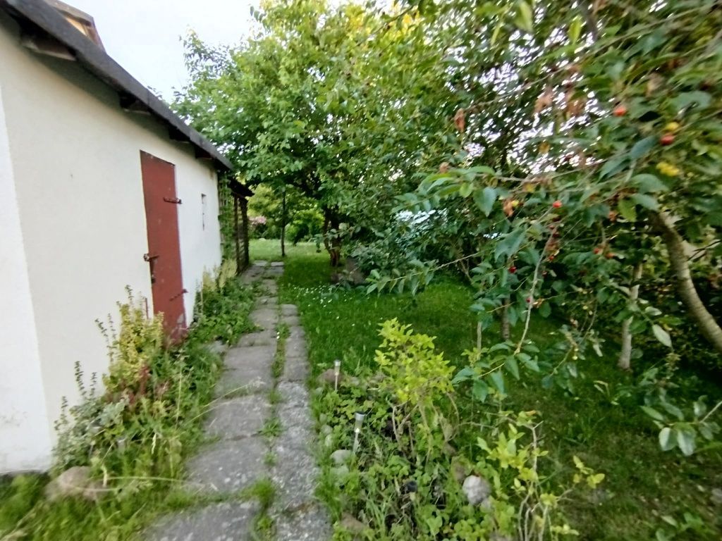 Działka rod Zgierz, ul. Jana Kochanowskiego. Zdjęcie 3