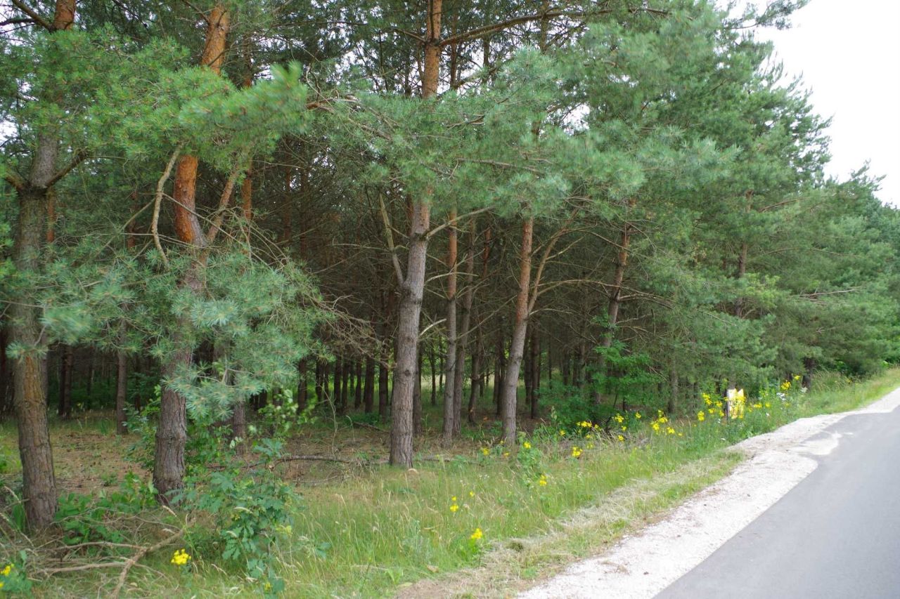 Działka budowlana Sokołowo. Zdjęcie 7