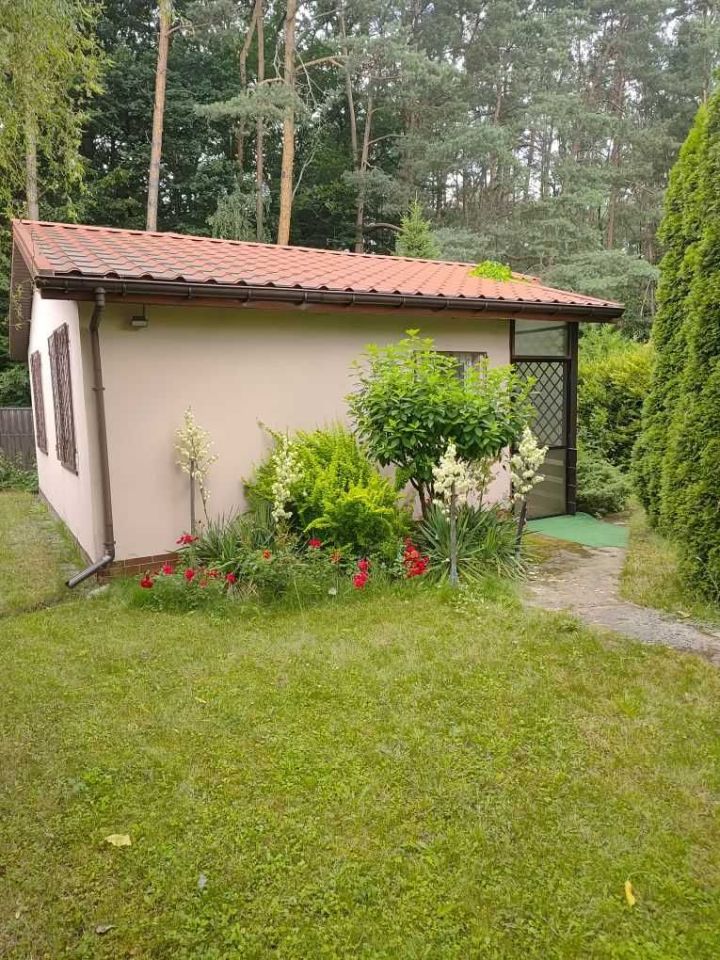 Działka rod Pawlikowice. Zdjęcie 3