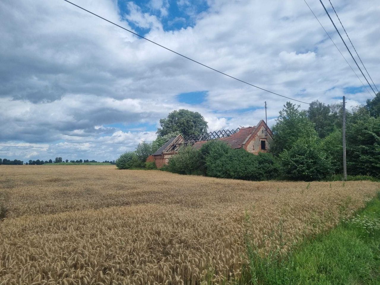 gospodarstwo Proślice. Zdjęcie 4