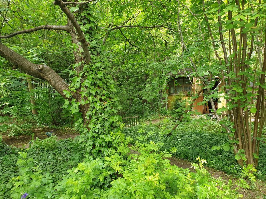 Działka rekreacyjna Warszawa Praga-Południe