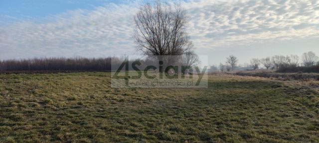 Działka rolno-budowlana Cholewy. Zdjęcie 7