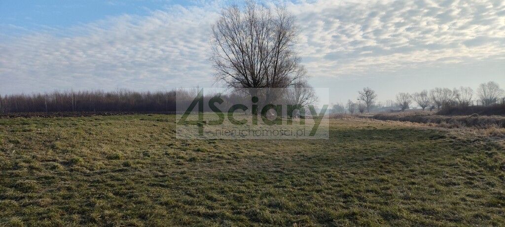 Działka rolno-budowlana Cholewy. Zdjęcie 7