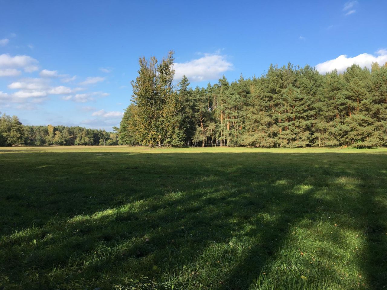 Działka siedliskowa Młyniska. Zdjęcie 18