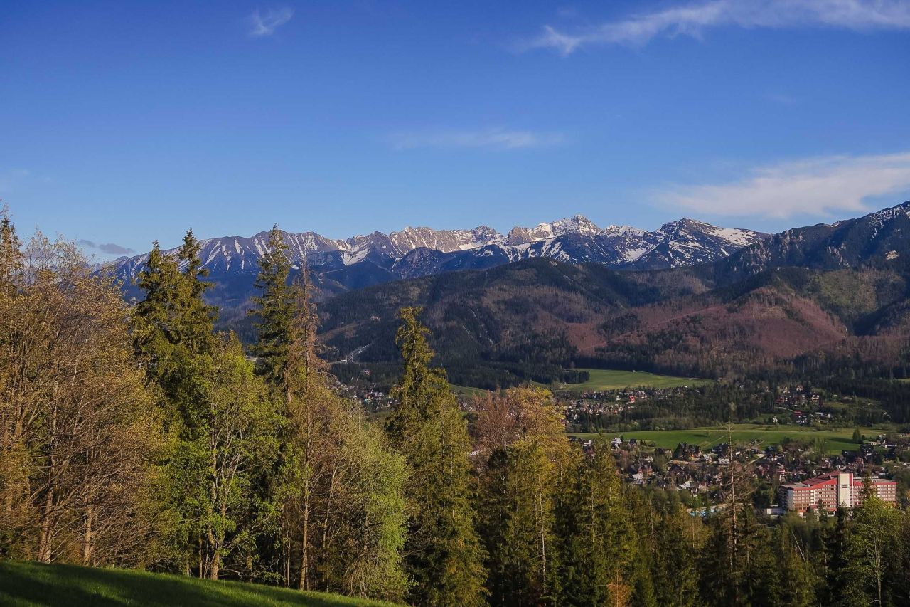 Działka rolno-budowlana Zakopane Gubałówka, ul. Generała Kazimierza Sosnkowskiego. Zdjęcie 5