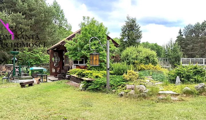 Działka rekreacyjna Śliwice Kocknieja, ul. Sosnowa