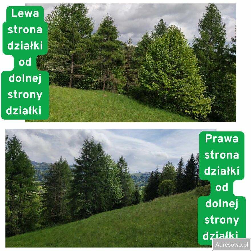 Działka rolna Szlachtowa. Zdjęcie 6