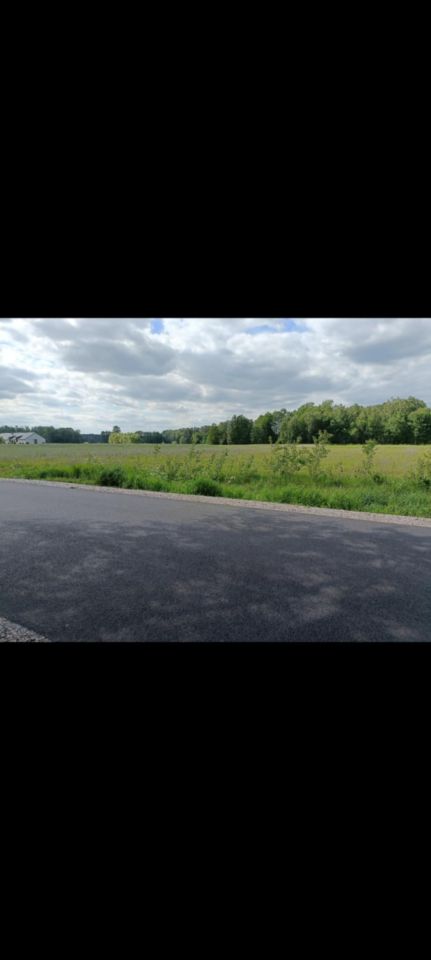 Działka rolno-budowlana Skruda. Zdjęcie 1