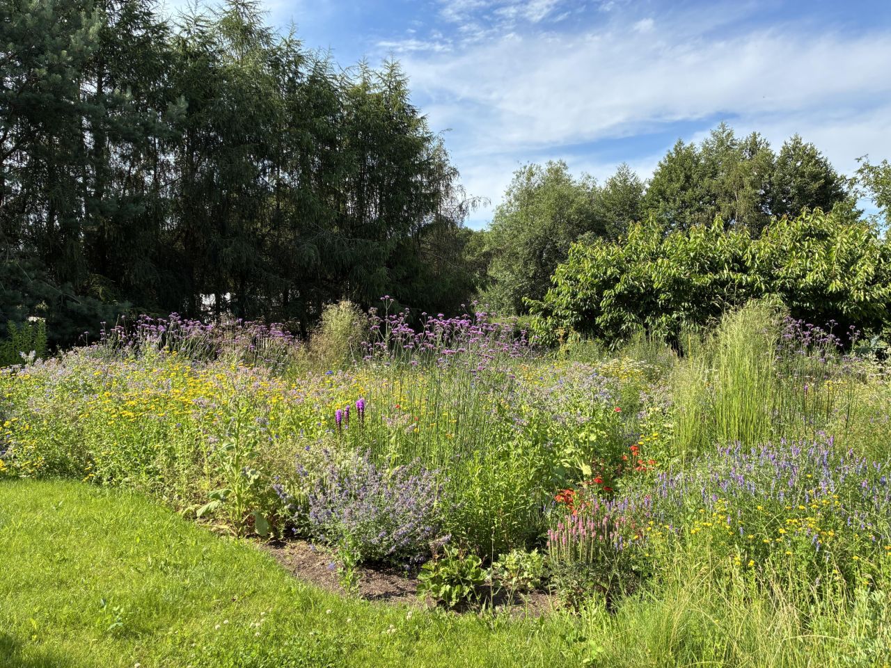 Działka rolno-budowlana Jerzyn. Zdjęcie 13