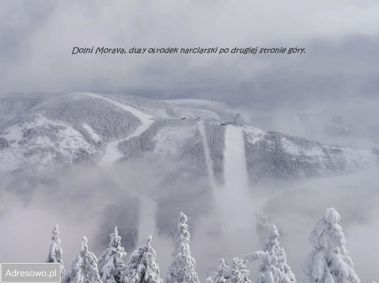 Działka budowlana Jodłów. Zdjęcie 10