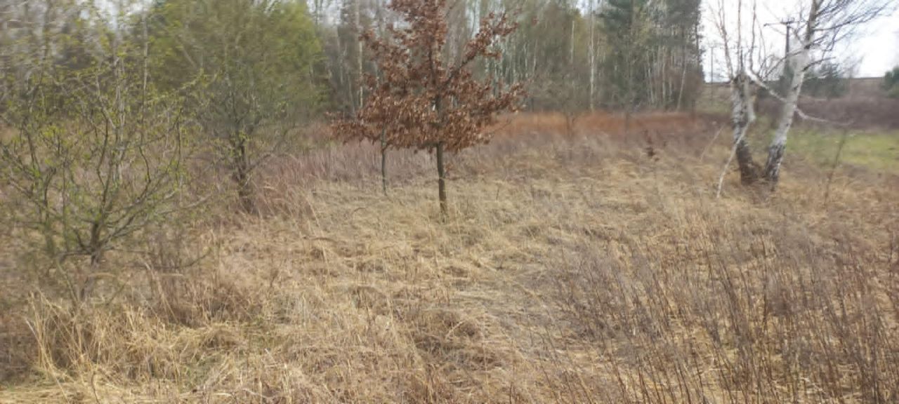 Działka rolna Skierniewice Rawka, ul. Bohaterów Westerplatte. Zdjęcie 3