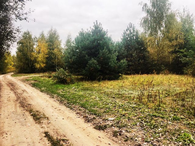 Działka budowlana Barcice Drwalewskie. Zdjęcie 6