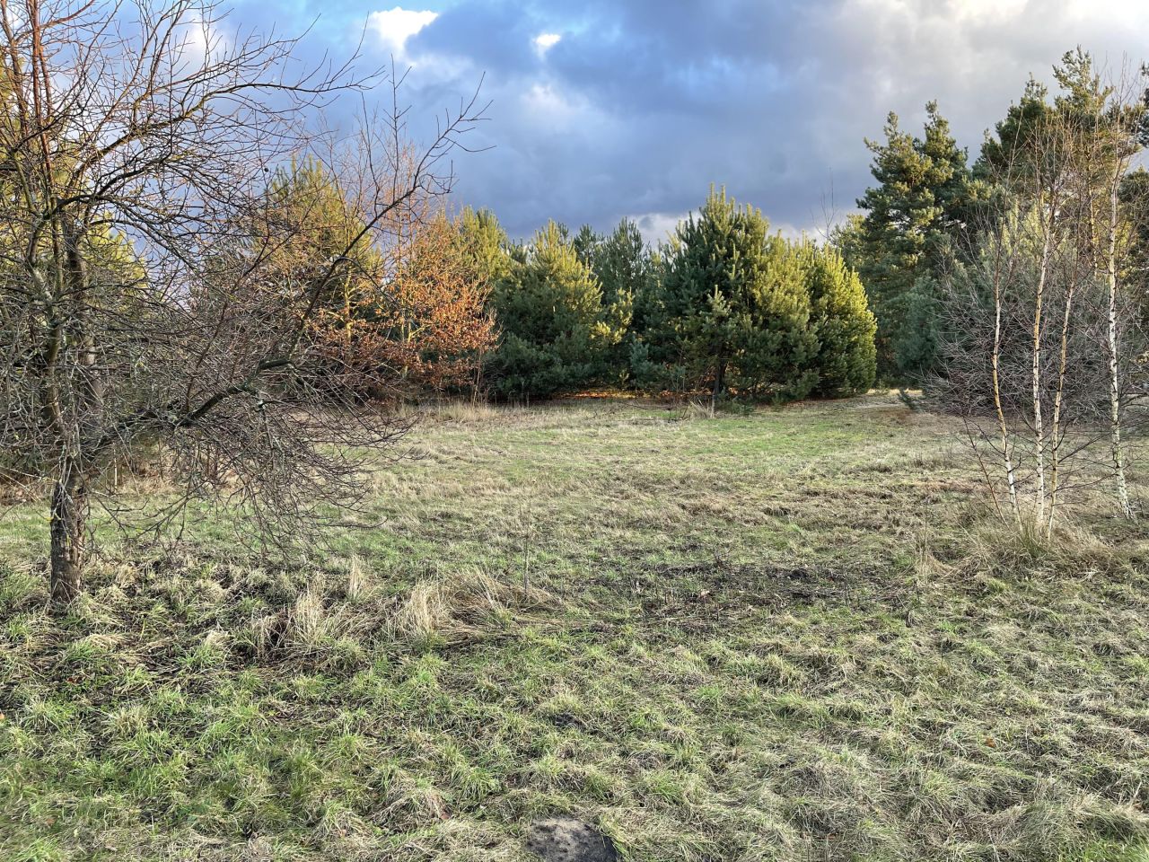 Działka budowlana Uśniaki. Zdjęcie 10