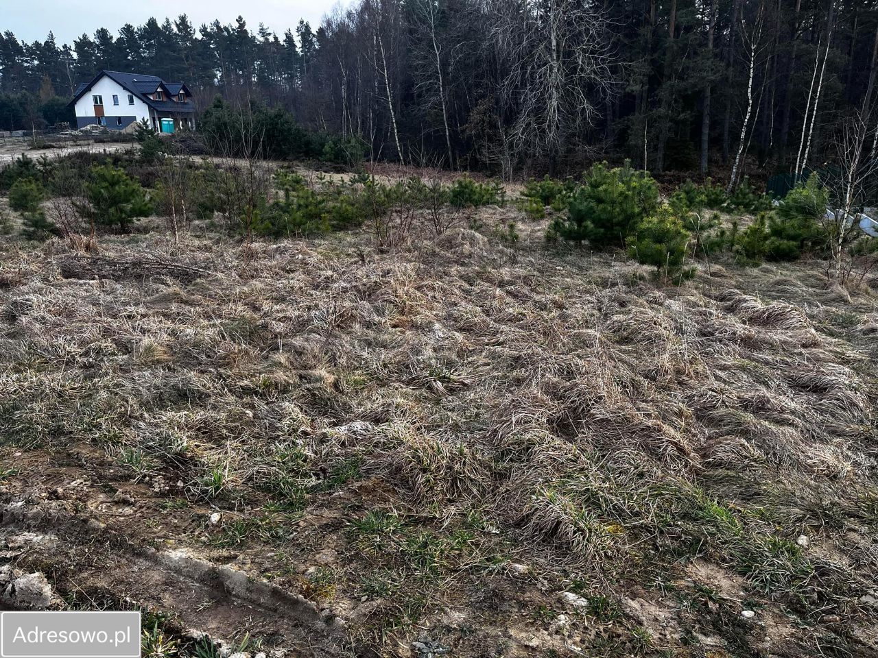 Działka budowlana Leśniewo